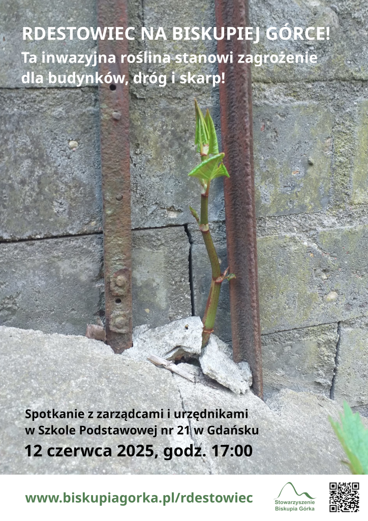 Plakat ze zdjęciem rdestowca wyrastającego ze szczeliny w murze i informacją o spotkaniu 12 czerwca